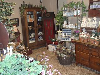 Gift Shop 2
